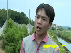 CCTV2财经-江西泥鳅养殖视频